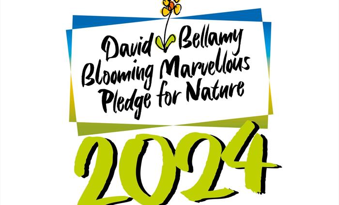 David Bellamy Award